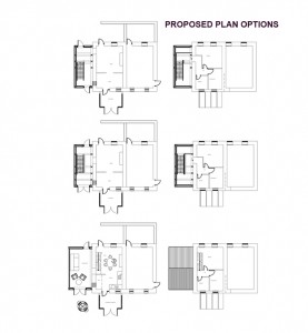 Proposed plan options